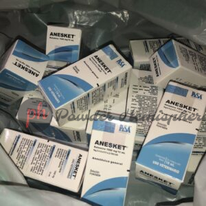 Order Anesket 1000mg/10ml