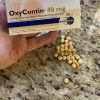 Buy OxyContin Online Overnight Delivery Without Prescription
